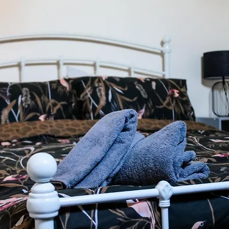 The Brown Box Let Loftus